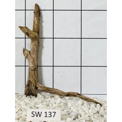 Stump wood 137