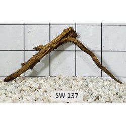 Stump wood 137