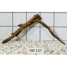 Stump wood 137