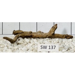 Stump wood 137