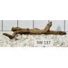 Stump wood 137