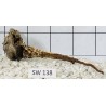 Stump wood 138