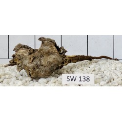 Stump wood 138