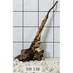 Stump wood 138