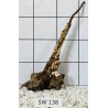 Stump wood 138