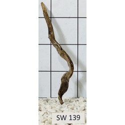 Stump wood 139