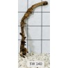 Stump wood 140