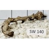 Stump wood 140