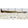 Stump wood 141