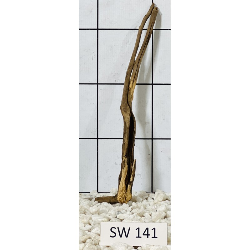 Stump wood 141