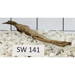 Stump wood 141