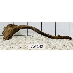 Stump wood 142