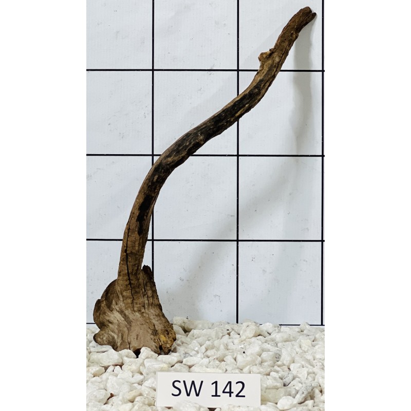 Stump wood 142