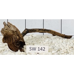 Stump wood 142