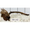 Stump wood 142