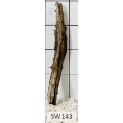 Stump wood 143