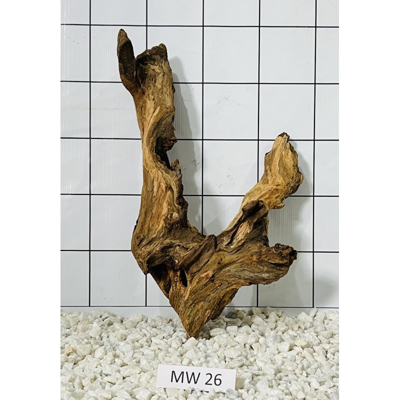 Mangrovewood 26