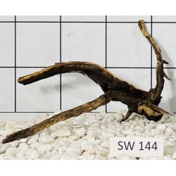 Stump wood 144