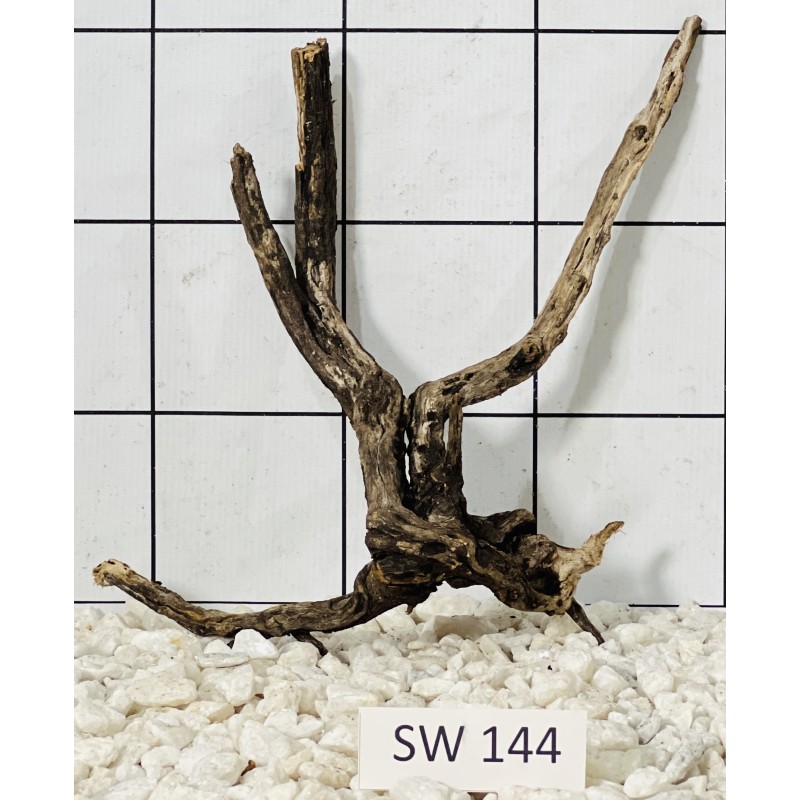 Stump wood 144