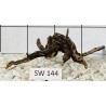 Stump wood 144