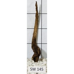 Stump wood 145