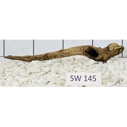 Stump wood 145