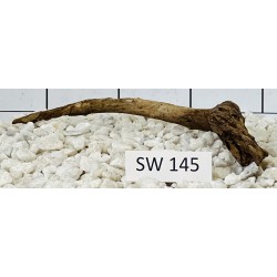Stump wood 145