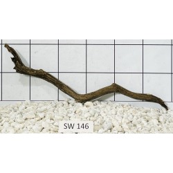 Stump wood 146