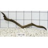 Stump wood 146