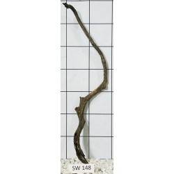 Stump wood 148