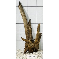 Stump wood 149