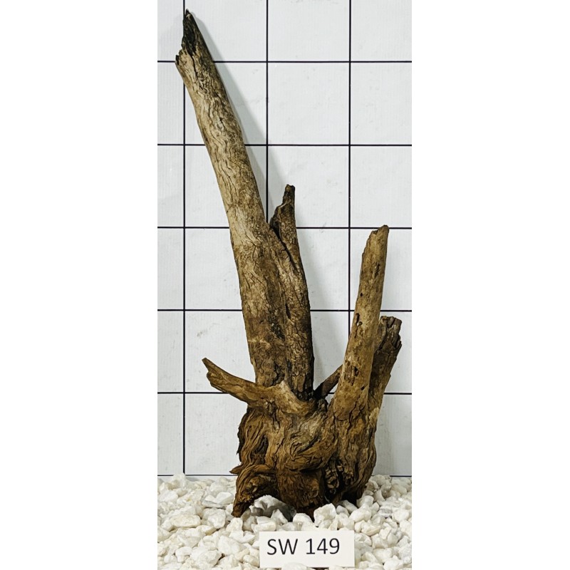Stump wood 149