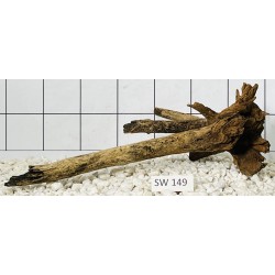 Stump wood 149