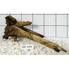 Stump wood 149