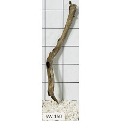 Stump wood 150