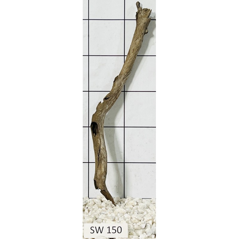 Stump wood 150