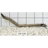 Stump wood 150