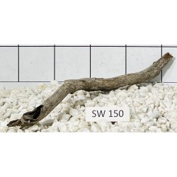 Stump wood 150
