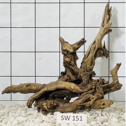 Stump wood 151