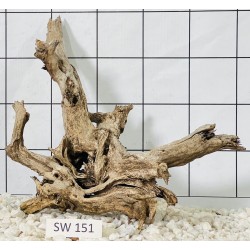 Stump wood 151