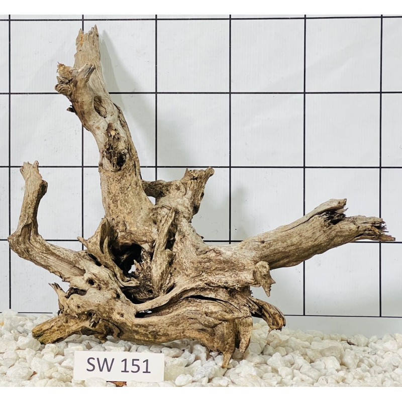 Stump wood 151