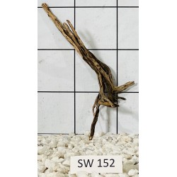 Stump wood 152