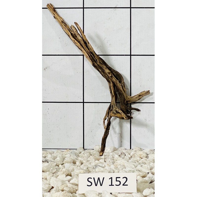 Stump wood 152