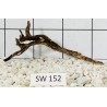 Stump wood 152