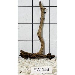 Stump wood 153
