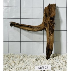 Mangrovewood 27