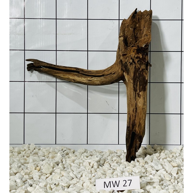 Mangrovewood 27