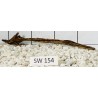 Stump wood 154