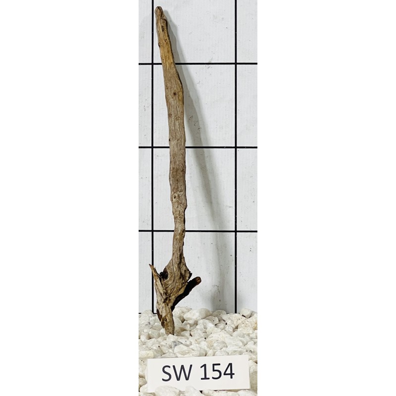 Stump wood 154