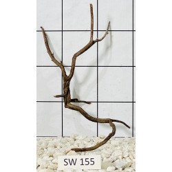 Stump wood 155